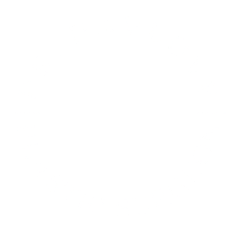 sergey pavlov plastic surgery